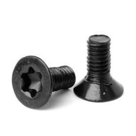 Grip screw for CZ, set of 2 screws in 20 Torx - CESAR -DVC