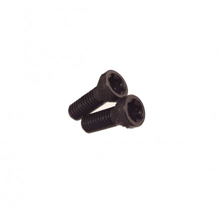 Torx Screw 2 pz. for alluminium grips - Tanfoglio
