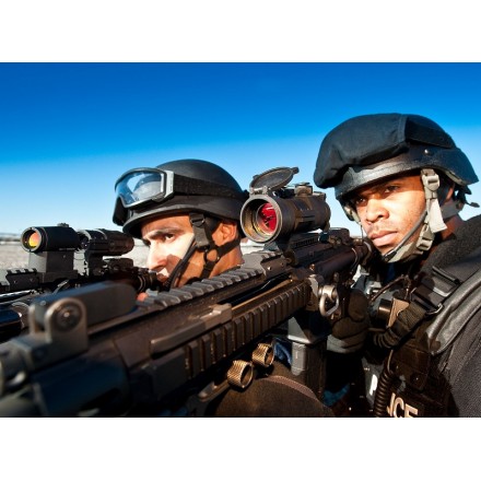 Tactical Red Dot Aimpoint Patrol Rifle Optic, 2 MOA - Aimpoint