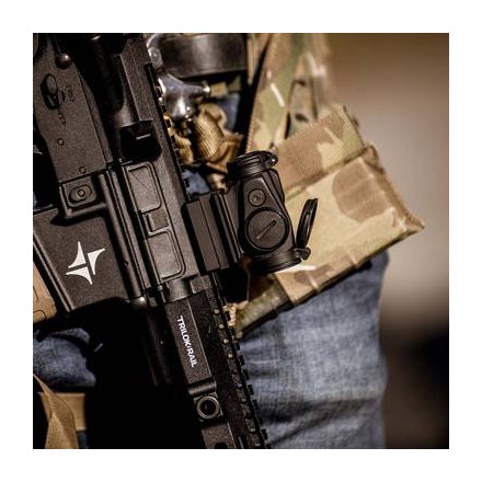 Mirino a Punto Rosso Duty RDS™ 2 MOA con attacco TNP monopezzo da 39 mm - Aimpoint