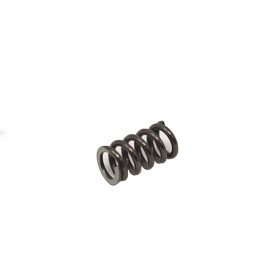 Extractor Spring for Tanfoglio Stock I/II/III, Limited...