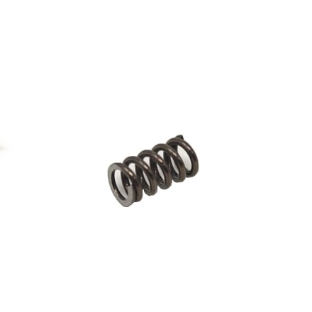 Extractor Spring for Tanfoglio Stock I/II/III, Limited Custom, Domina - Tanfoglio