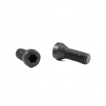 2 screws for Tanfoglio aluminum grips - Toni System