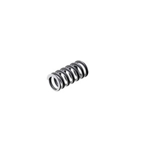 Extractor spring for CZ TS-2 - CZ
