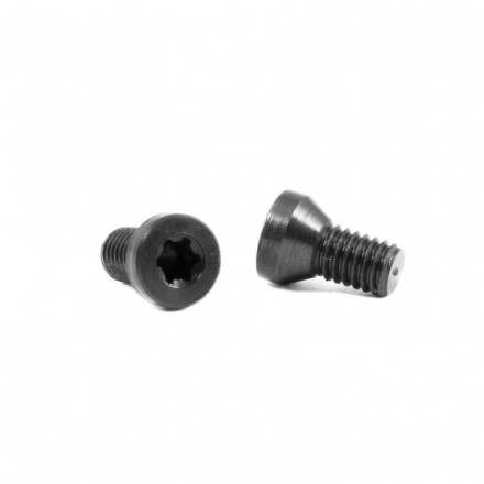 2 viti di ricambio per guancette in alluminio CZ - Toni System