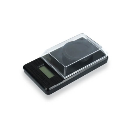 Portable scale, model GSL - BDS