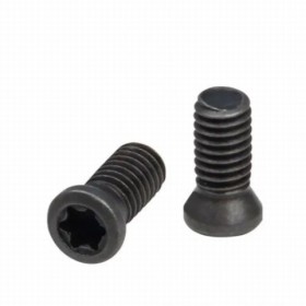 Viti per guancette SpidErgo per CZ e Tanfoglio, 2pz -...