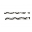 P10 Firing Pin Spring Light (Kit 2 pz) - CZ