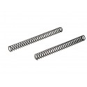 P10 Firing Pin Spring Light (Kit 2 pz) - CZ